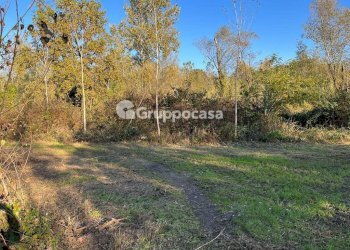 Foto 8 - Terreno agricolo Magenta - foto 7