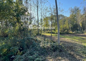 Foto 9 - Terreno agricolo Magenta - foto 8