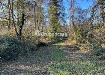 Foto 10 - Terreno agricolo Magenta - foto 9