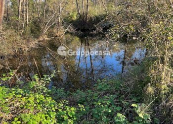 Foto 11 - Terreno agricolo Magenta - foto 10