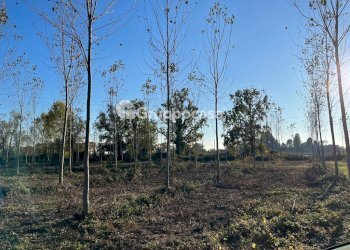 Foto 14 - Terreno agricolo Magenta - foto 13