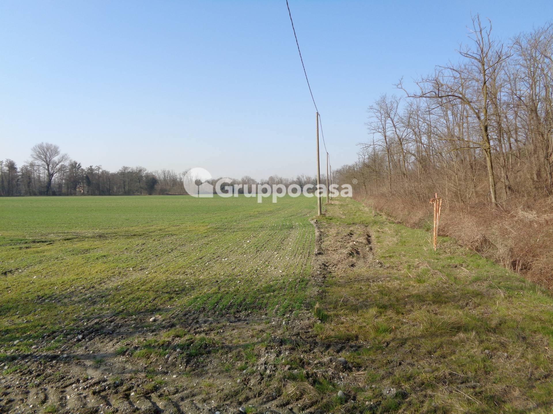 Foto 3 - Agricultural land cascina madonnina, Boffalora Sopra Ticino - photo 3