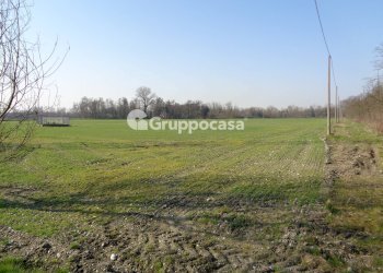 Foto 2 - Terreno agricolo cascina madonnina, Boffalora Sopra Ticino - foto 2