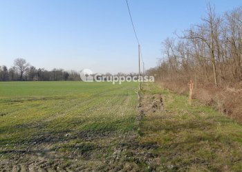 Foto 3 - Terreno agricolo cascina madonnina, Boffalora Sopra Ticino - foto 3