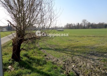 Foto 4 - Terreno agricolo cascina madonnina, Boffalora Sopra Ticino - foto 4