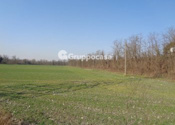 Foto 6 - Terreno agricolo cascina madonnina, Boffalora Sopra Ticino - foto 6