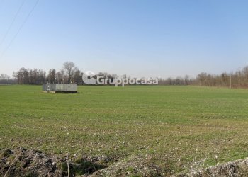 Foto 8 - Terreno agricolo cascina madonnina, Boffalora Sopra Ticino - foto 8