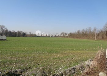 Foto 9 - Terreno agricolo cascina madonnina, Boffalora Sopra Ticino - foto 9