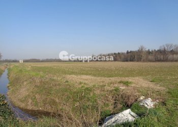 Foto 11 - Terreno agricolo cascina madonnina, Boffalora Sopra Ticino - foto 11