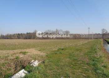 Foto 12 - Terreno agricolo cascina madonnina, Boffalora Sopra Ticino - foto 12