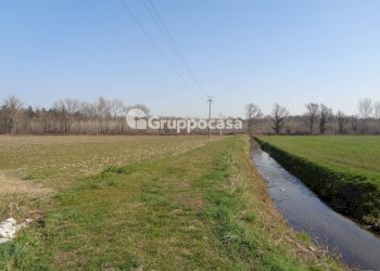 Foto 13 - Terreno agricolo cascina madonnina, Boffalora Sopra Ticino - foto 13