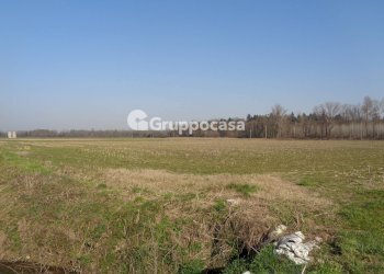 Foto 14 - Terreno agricolo cascina madonnina, Boffalora Sopra Ticino - foto 14