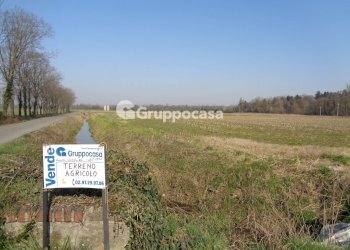 Foto 15 - Terreno agricolo cascina madonnina, Boffalora Sopra Ticino - foto 15