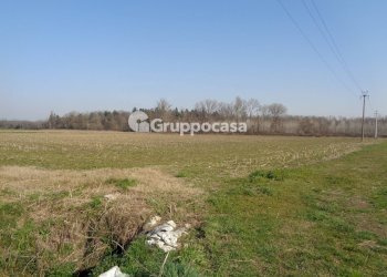 Foto 16 - Terreno agricolo cascina madonnina, Boffalora Sopra Ticino - foto 16