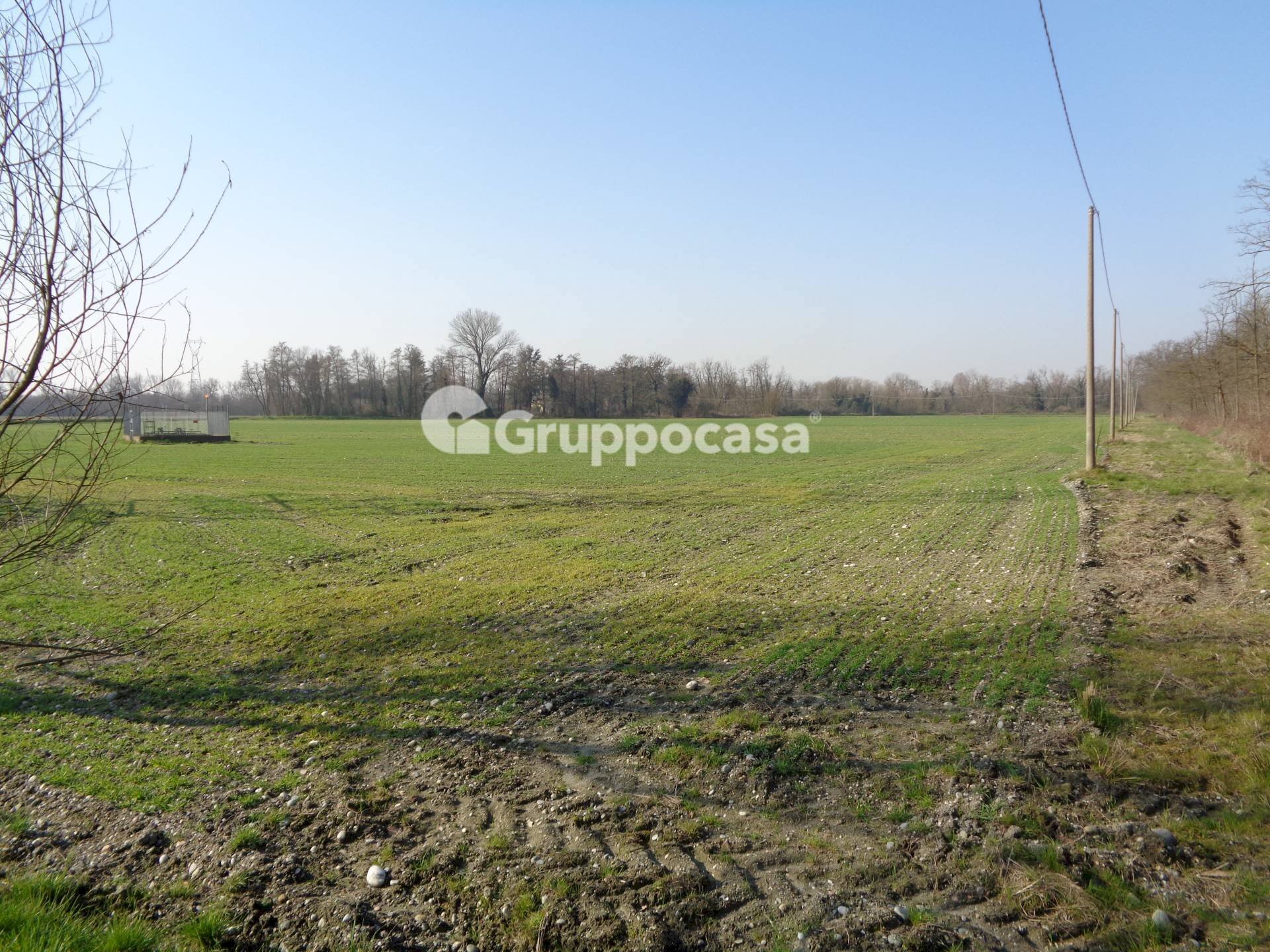 Foto 2 - Terreno agricolo pietrasanta, Magenta - foto 2