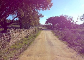 Foto 6 - Rustic Aglientu - photo 6