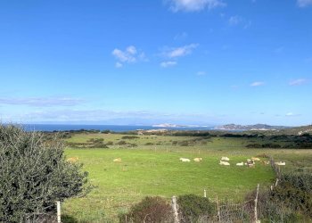 Foto 19 - Rustic Aglientu - photo 19