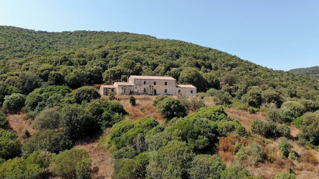 Foto 3 - Rustico Viddalba - foto 3