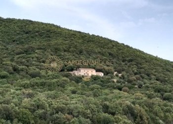 Foto 2 - Rustico Viddalba - foto 2