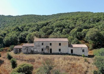 Foto 4 - Rustico Viddalba - foto 4