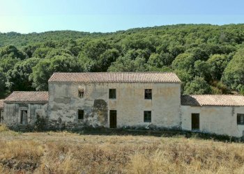 Foto 5 - Rustico Viddalba - foto 5