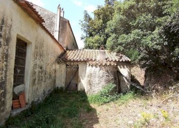 Foto 13 - Rustico Viddalba - foto 13