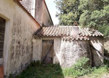 Foto 14 - Rustico Viddalba - foto 14