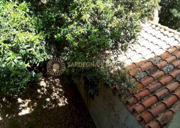 Foto 15 - Rustico Viddalba - foto 15