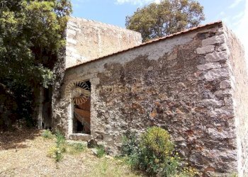 Foto 16 - Rustico Viddalba - foto 16