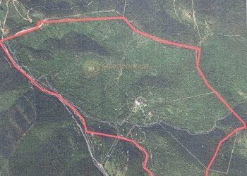 Foto 33 - Rustico Viddalba - foto 33