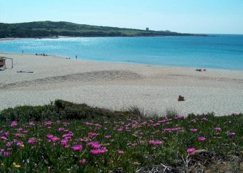 Foto 23 - Villa Trinità d'Agultu e Vignola - foto 23