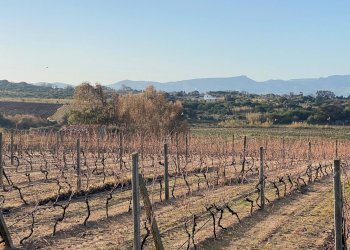 Foto 12 - Terreno edificabile Via Mare, Badesi - foto 12