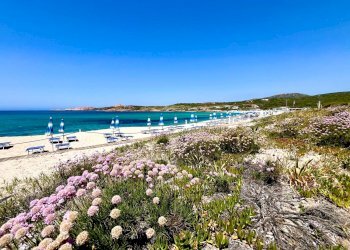 Foto 26 - Villa Isola Rossa, Trinità d'Agultu e Vignola - foto 26