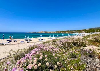 Foto 27 - Villa Isola Rossa, Trinità d'Agultu e Vignola - foto 27