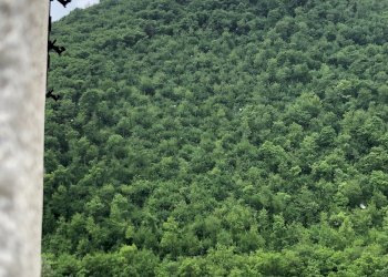 Foto 8 - Casa indipendente località fondiglie, Sassoferrato - foto 8