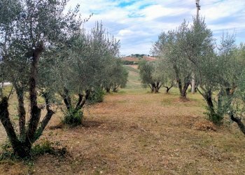 Foto 23 - Rustico via valle, Belvedere Ostrense - foto 23