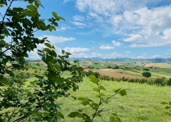 Foto 4 - Rustico via gualdo, Belvedere Ostrense - foto 4