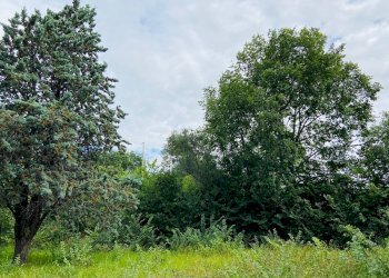 Foto 5 - Rustico via gualdo, Belvedere Ostrense - foto 5