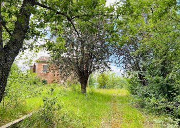 Foto 6 - Rustico via gualdo, Belvedere Ostrense - foto 6