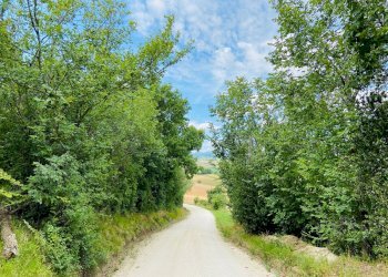 Foto 7 - Rustico via gualdo, Belvedere Ostrense - foto 7