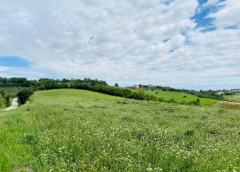 Foto 9 - Rustico via gualdo, Belvedere Ostrense - foto 9