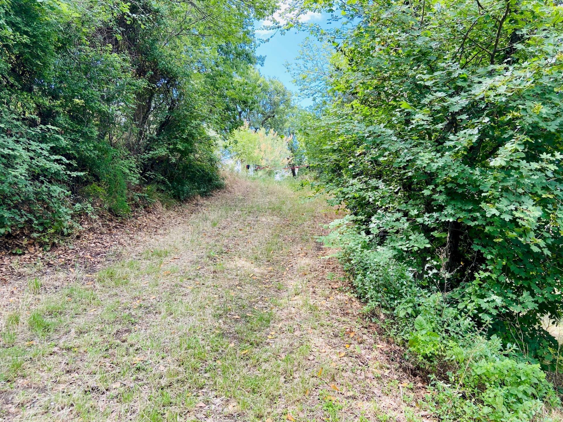 Foto 3 - Rustico via butano, Belvedere Ostrense - foto 3