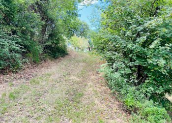 Foto 3 - Rustico via butano, Belvedere Ostrense - foto 3