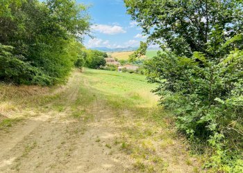 Foto 4 - Rustico via butano, Belvedere Ostrense - foto 4