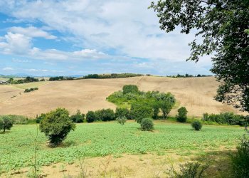 Foto 5 - Rustico via butano, Belvedere Ostrense - foto 5