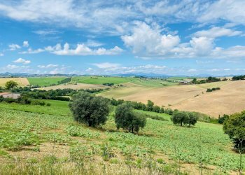 Foto 6 - Rustico via butano, Belvedere Ostrense - foto 6