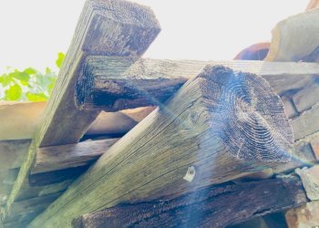 Foto 10 - Rustico via butano, Belvedere Ostrense - foto 10