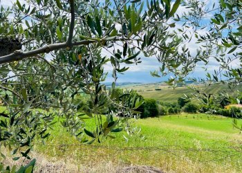 Foto 8 - Rustico via santa lucia, Belvedere Ostrense - foto 8