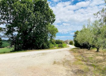 Foto 11 - Rustico via santa lucia, Belvedere Ostrense - foto 11