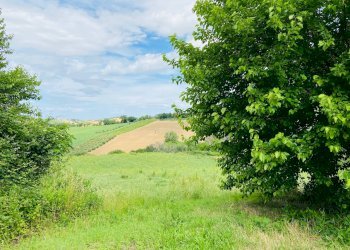 Foto 7 - Rustico via antico, Belvedere Ostrense - foto 7